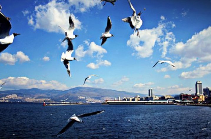 ALIN YAZIM