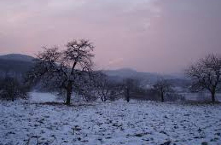 Son Şehir