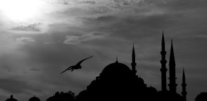 cami-2350512_1920
